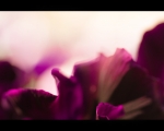 IMG_3920_natural.jpg